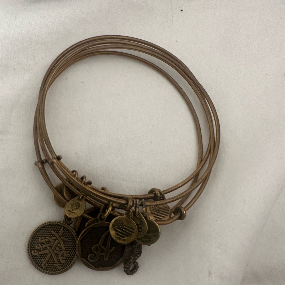 Alex n ani